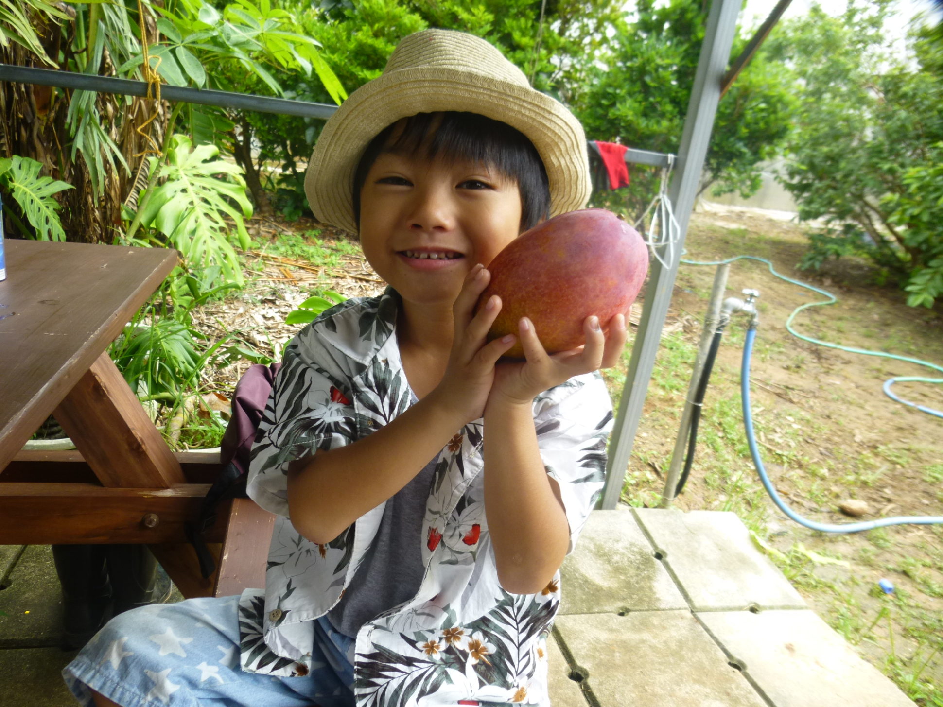 おきなわんふるーつ園