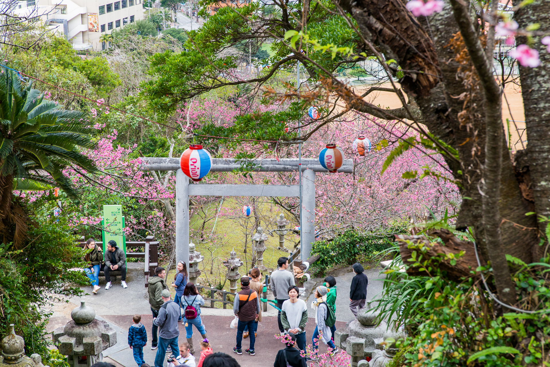 名護中央公園