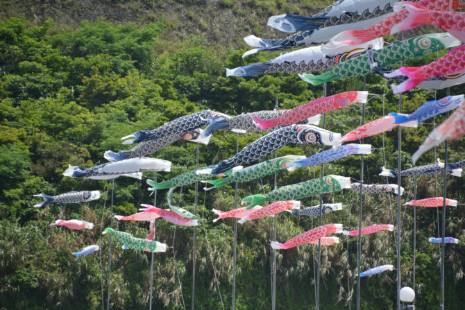 （羽地大川鯉のぼり祭り➂）